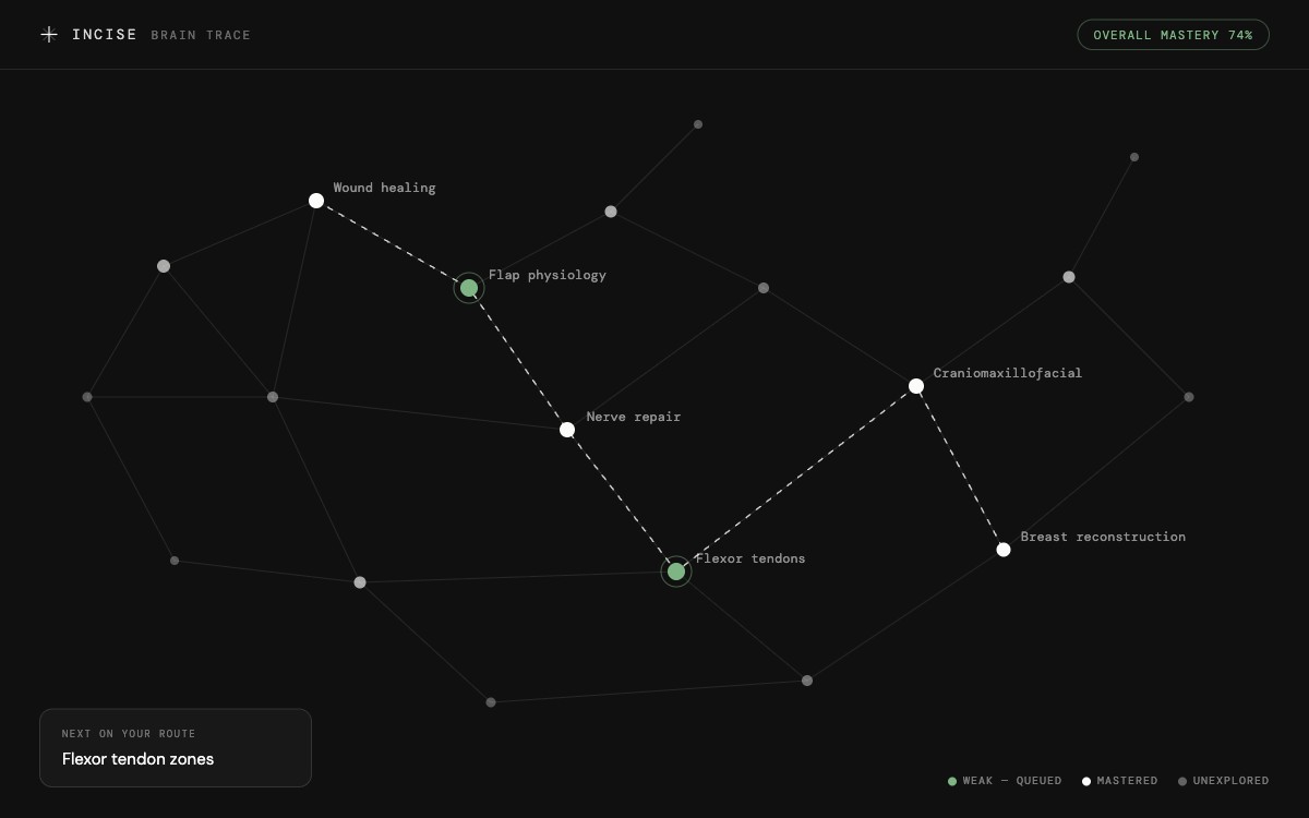 Brain Trace knowledge graph with your study route